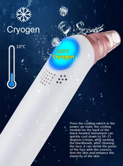 Hot &old Massage Facial Care Pore Vacuum Blackhead Remover